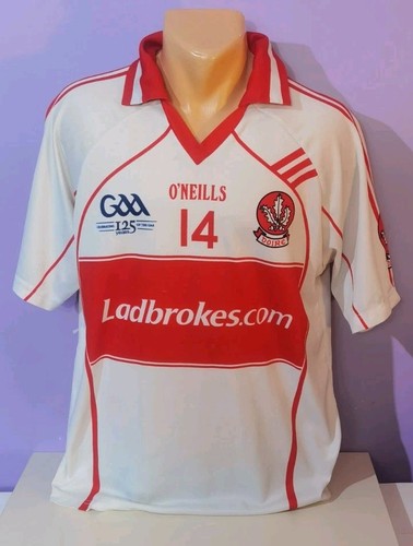 Derry 2009 gaa - derry,